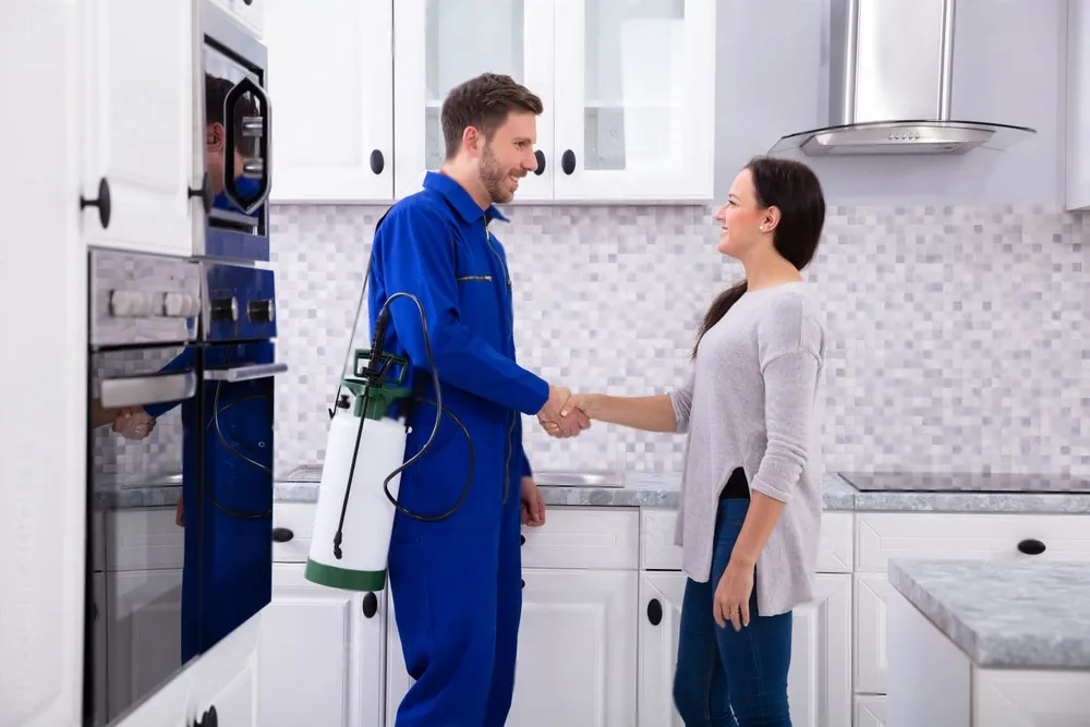 Pest Control Experts - Los Banos Best Pest Pros | Los Banos, CA | 209-322-8213